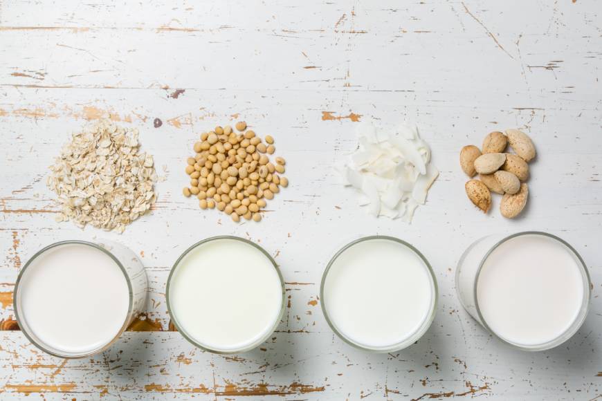Milk Alternatives Explained